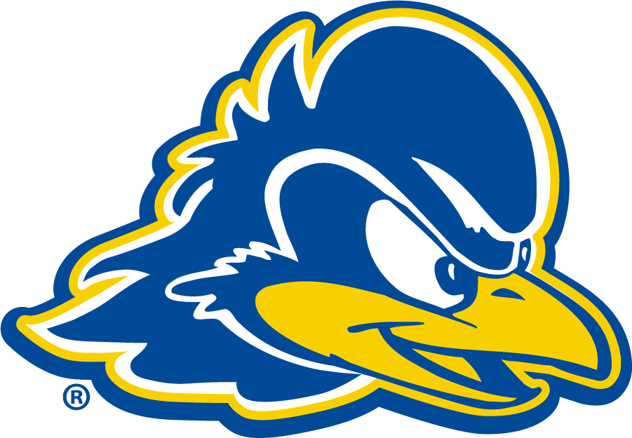 Delaware Blue Hens 2018-Pres Primary Logo iron on transfers for clothing